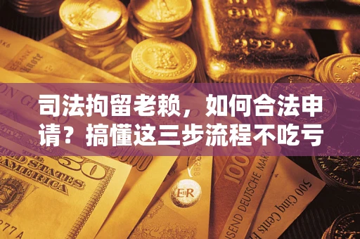 北京司法拘留老赖，如何合法申请？搞懂这三步流程不吃亏！