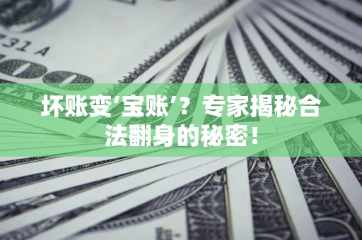 北京坏账变‘宝账’？专家揭秘合法翻身的秘密！