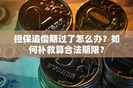 北京担保追偿期过了怎么办？如何补救算合法期限？