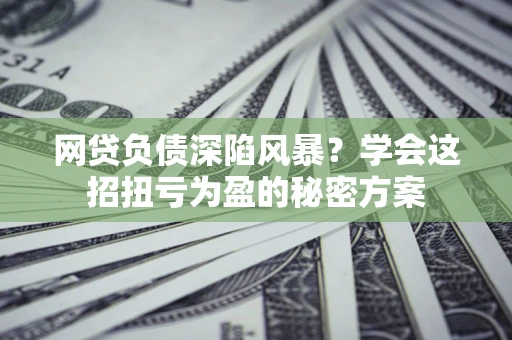 北京网贷负债深陷风暴？学会这招扭亏为盈的秘密方案